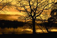 Am Staffelsee