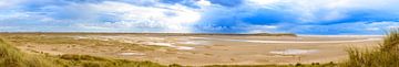 Sluftertal am Strand der Insel Texel im niederländischen Wattenmeer von Sjoerd van der Wal