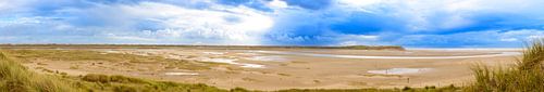 Sluftervallei aan het strand van Texel in de Nederlandse Waddenzee