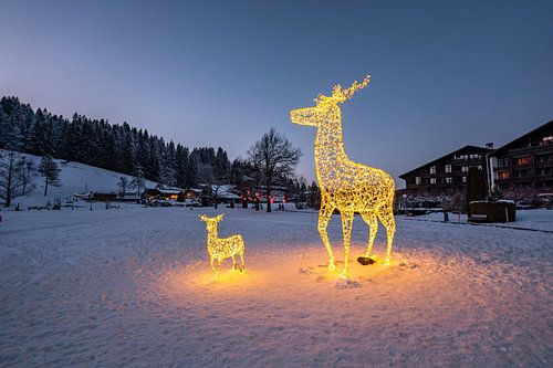 Wintermagie in het park van Oberstaufen