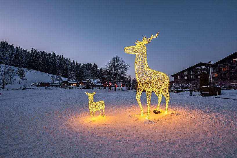 Winter magic in Oberstaufen Park by Leo Schindzielorz