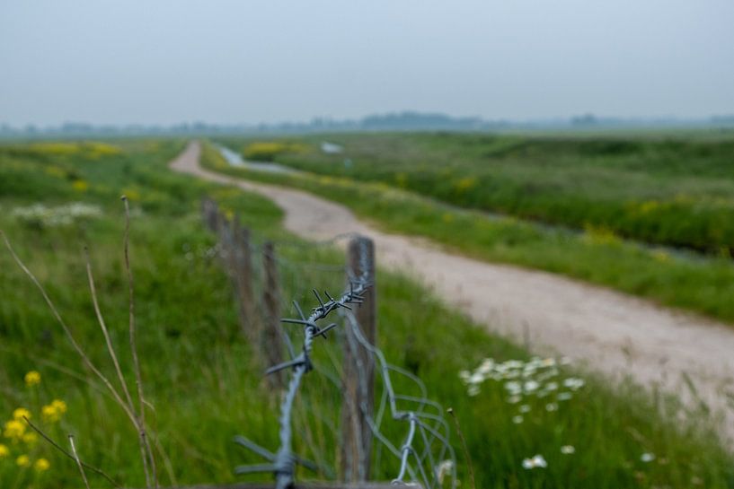 Along the Line by Karin van Bylevelt
