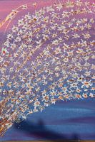 Bloemen Explosie