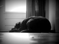 waiting