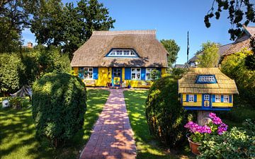 Colorful Darß, Germany