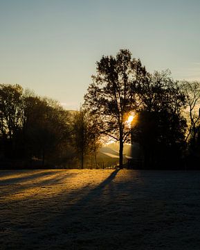Sonnenaufgang im Park an einem Wintermorgen