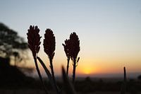 Ondergaande zon Ethiopie Africa
