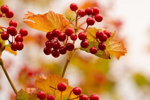 Die Farben des Abschieds