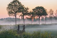 paysage atmosphérique