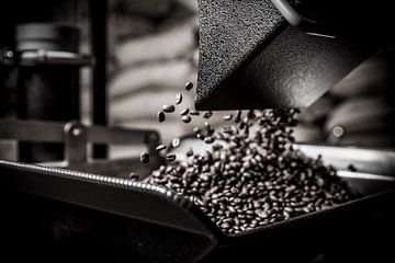 Coffee roastery (craft in close-up)