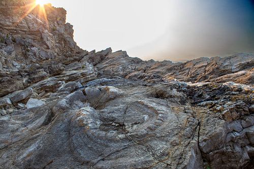 Fossil forest aan de Engelse kust van Jos van den berg