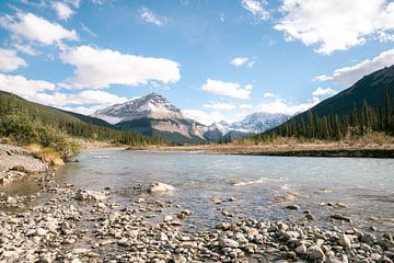 Gletsjerrivier in Canadese wildernis van Marit Hilarius