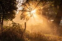 Mistige zonsopkomst