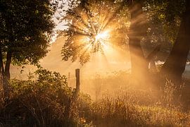 Mistige zonsopkomst van Kees Wessels