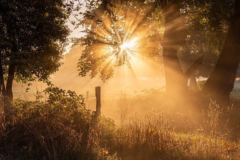 Mistige zonsopkomst van Kees Wessels