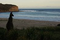 Zonsondergang in Australië van Desiree Francke thumbnail