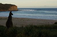 Zonsondergang in Australië