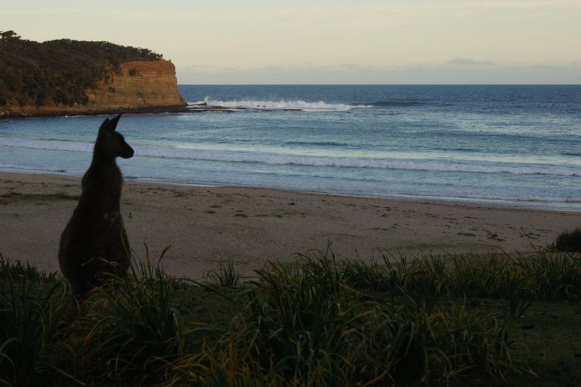 Zonsondergang in Australië van Desiree Francke