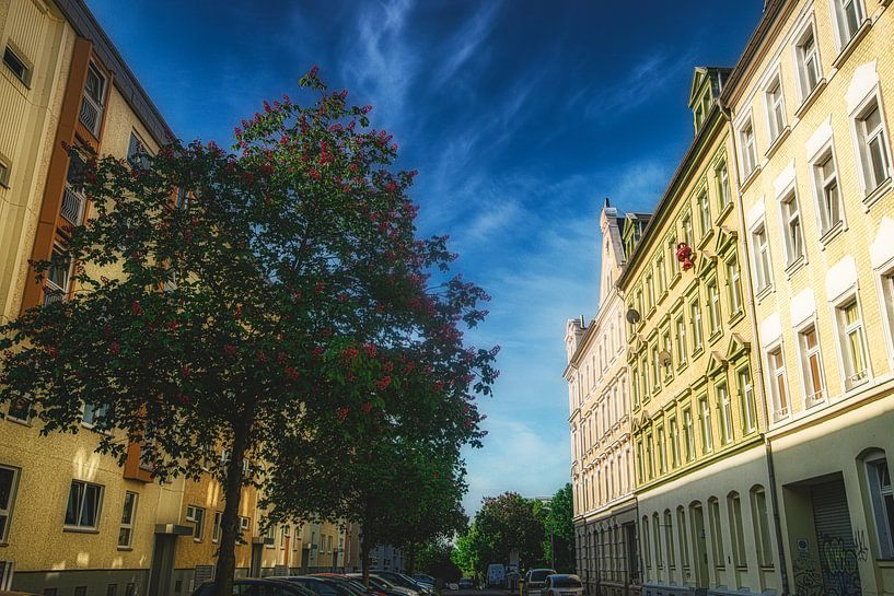 On the road in Chemnitz by Johnny Flash