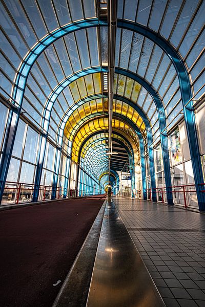 Mandela Bridge Zoetermeer Blue Yellow. by Frank Slaghuis