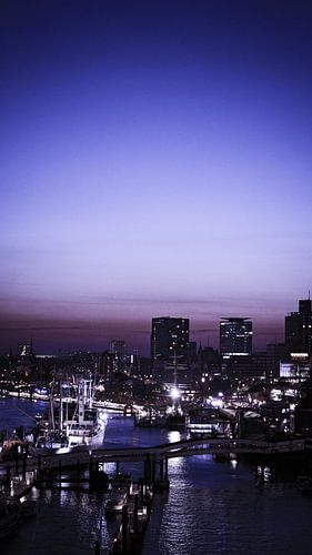 Hamburg Port By Night