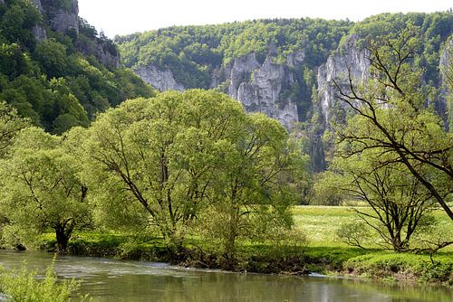 Donauvallei in de lente