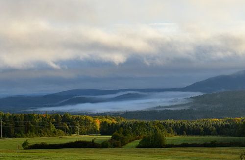 Un brouillard un matin d'automne