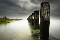 Langs de Westerschelde