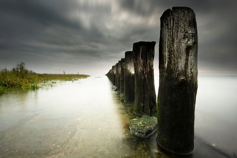 Langs de Westerschelde van Niek Goossen