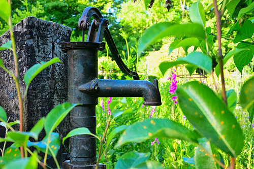 An old water pump surrounded by greenery