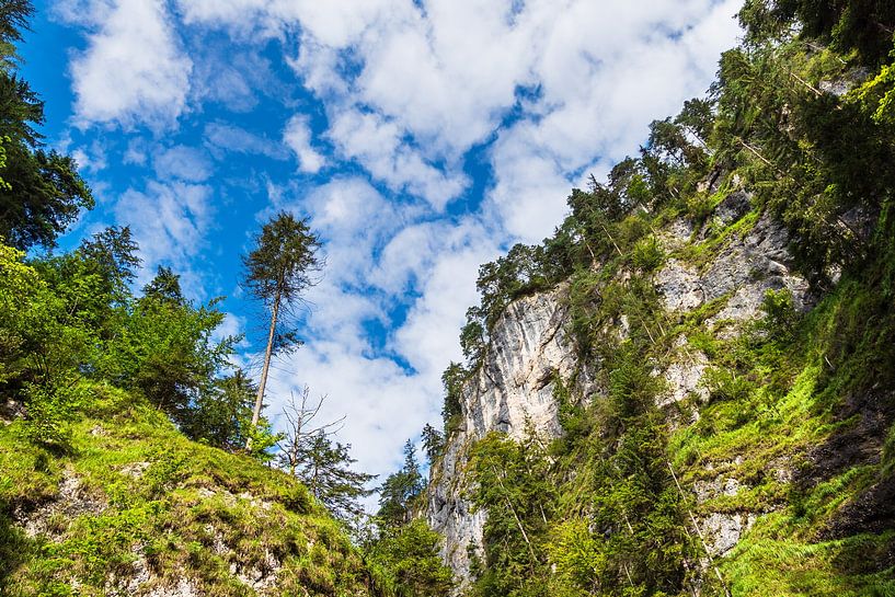 The Almbachklamm gorge in the Berchtesgadener Land region by Rico Ködder