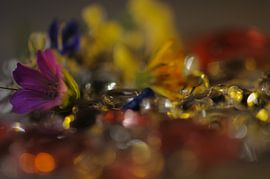 kleine Blume in den Kristallen von didier galibert
