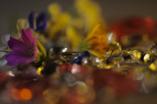 petite fleur dans les cristaux