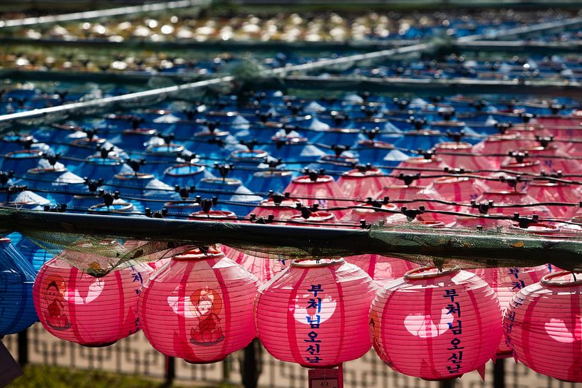 Paper lanterns in the Bulguksa Temple, South Korea by Winne Köhn