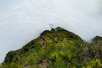 Mountain overgrown with grasses and bushes with electricity pylons wrapped in clouds