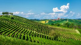 Die Weinberge des Monferrato und das Dorf Grana von Stefano Orazzini