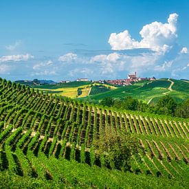 Die Weinberge des Monferrato und das Dorf Grana von Stefano Orazzini