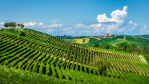 Die Weinberge des Monferrato und das Dorf Grana