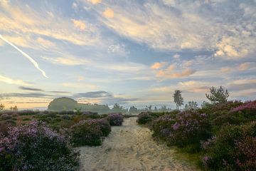 Zandpad tussen bloeiende heide tijdens zonsopkomst van Ad Jekel