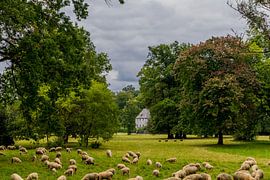Welcome to the Ilmpark in the classic city of Weimar by Oliver Hlavaty