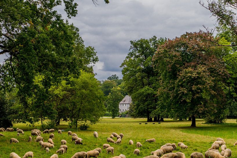 Willkommen im Ilmpark der Klassikerstadt Weimar von Oliver Hlavaty