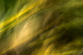 Komposition in Grün von Jan Talmon