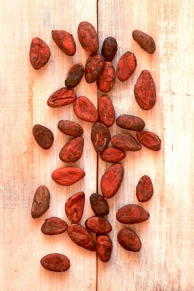 Kakao von Thomas Jäger