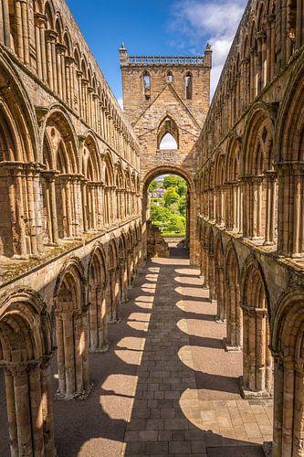 Ruins of Jedburgh Abbey, Jedburgh by Christian Müringer