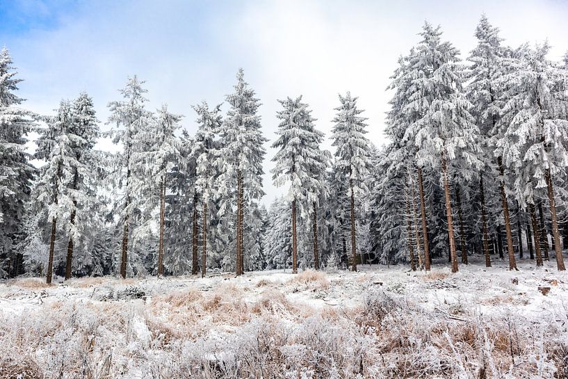 Beautiful winter landscape on the heights of the Thuringian Forest by Oliver Hlavaty