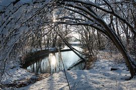 Winter in the Taubergießen Nature Reserve by Tanja Voigt