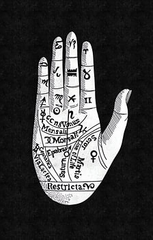 Handlijnkunde: handdiagram