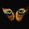 Papillon œil de chat sur fond noir sur Maud De Vries