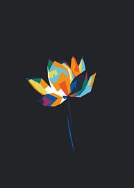 lotus