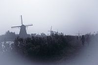 Molens in de mist